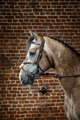Dy'on D Collection Fig 8 Noseband Bridle